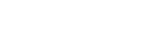 Item 1